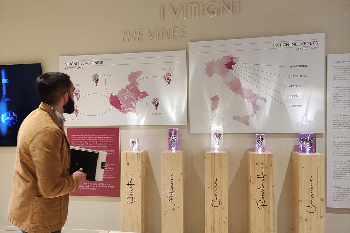 Museo del vino Montresor Per i 130 anni in Valpolicella Montresor inaugura il Museo del vino