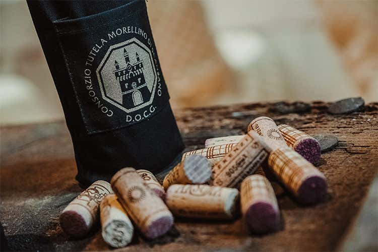 Il Morellino di Scansano è operativo Fervono le attività per il 2021 Il Morellino di Scansano è operativo Fervono le attività per il 2021