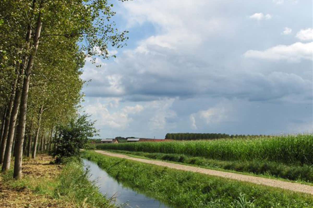 Viaggio nella Cittaslow per le giornate delle foreste e dell'acqua