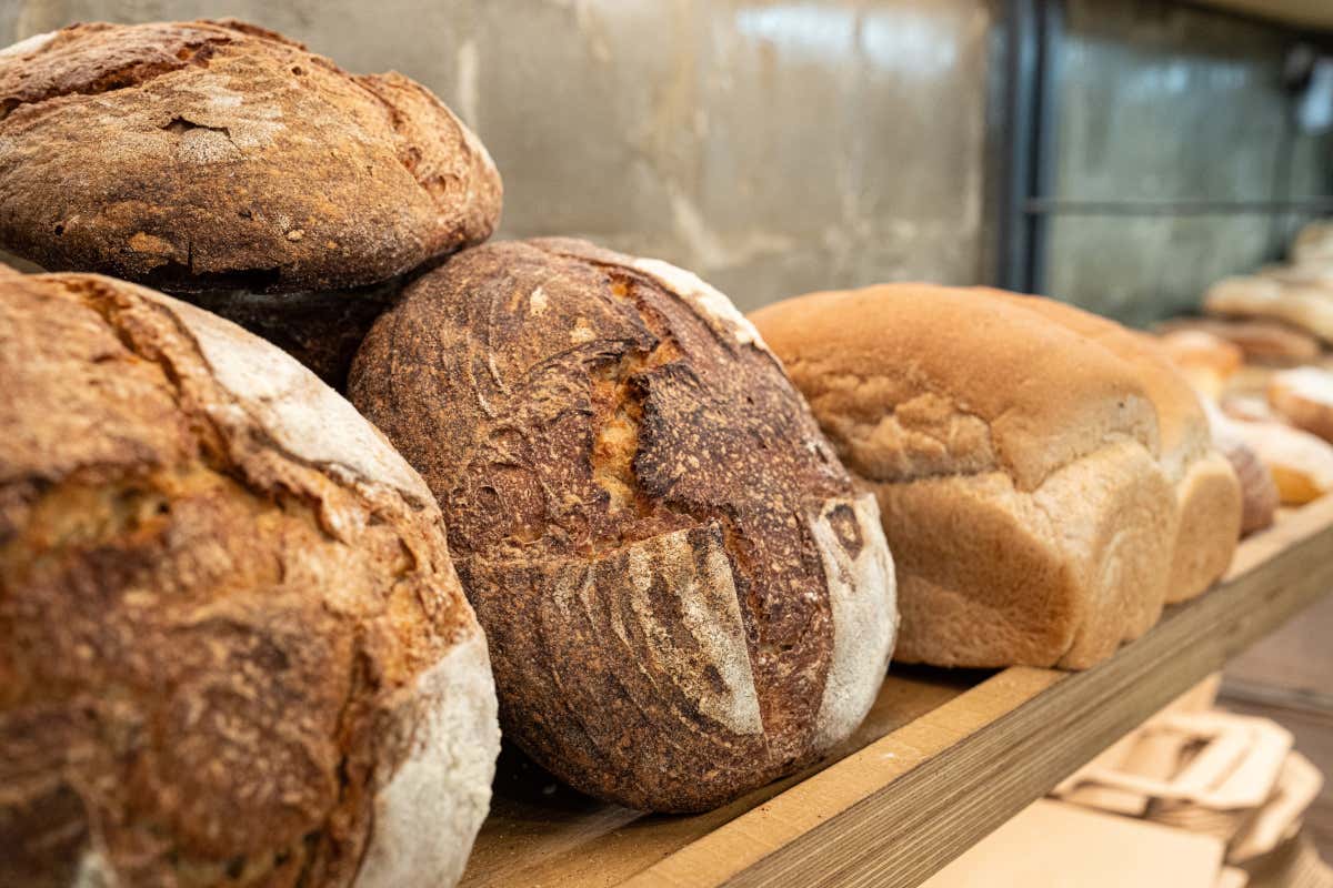 Pane, pizza e convivialità: l’esperienza del Garage Forno di Roma Pane, pizza e convivialità: l’esperienza del Garage Forno di Roma