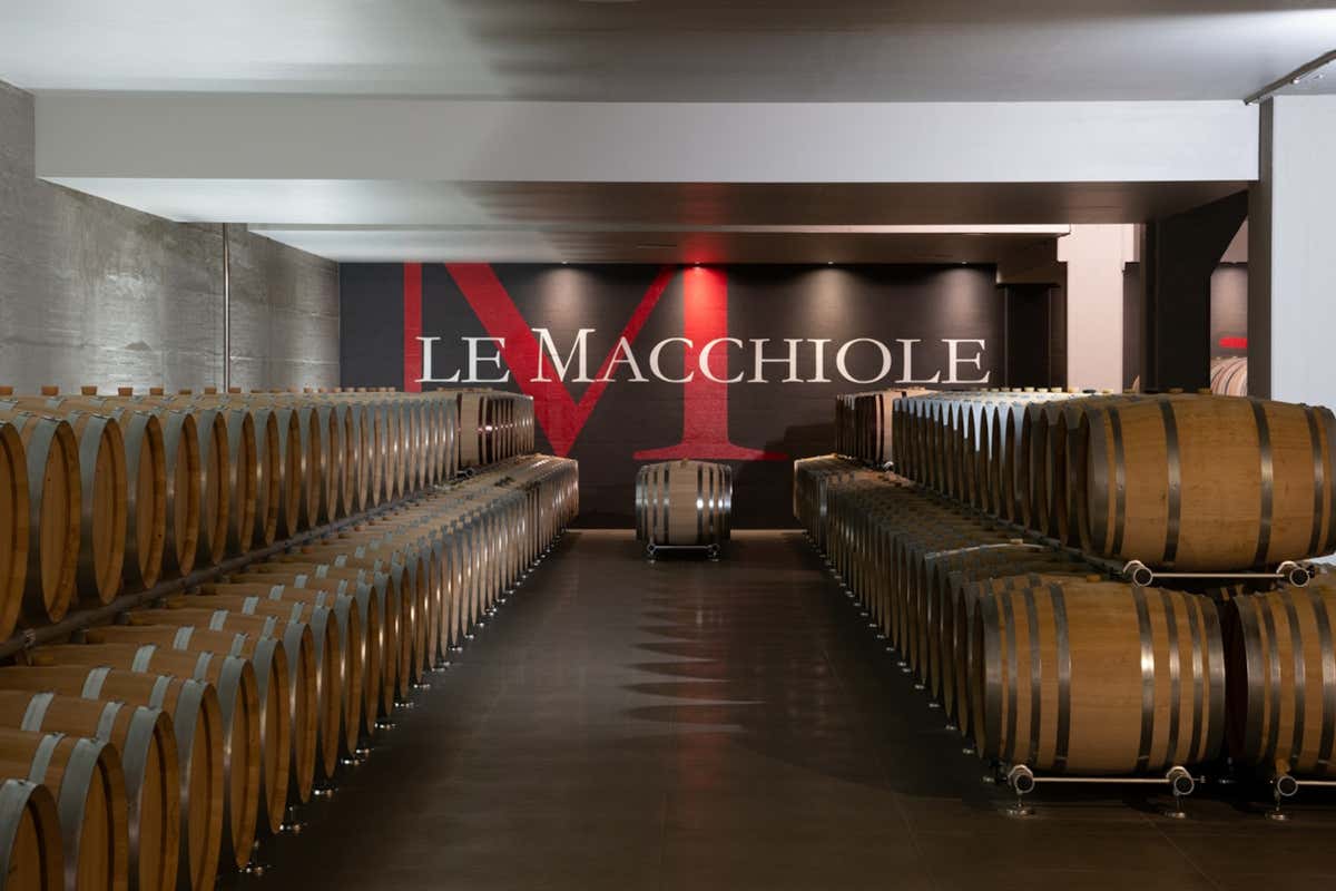 La cantina di Le Macchiole a Bolgheri (Li)
