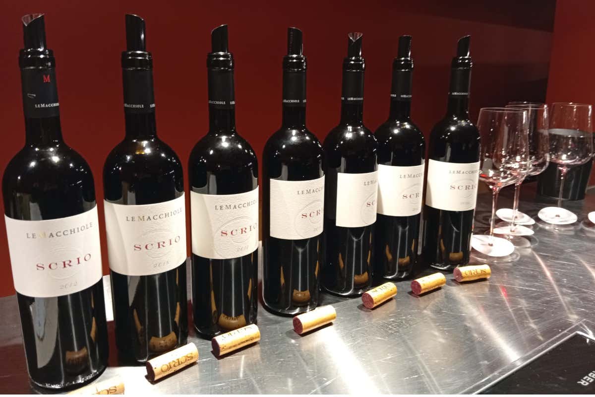 Scrio, il Syrah di Bolgheri che cambia volto tra vigne vista mare e anfore