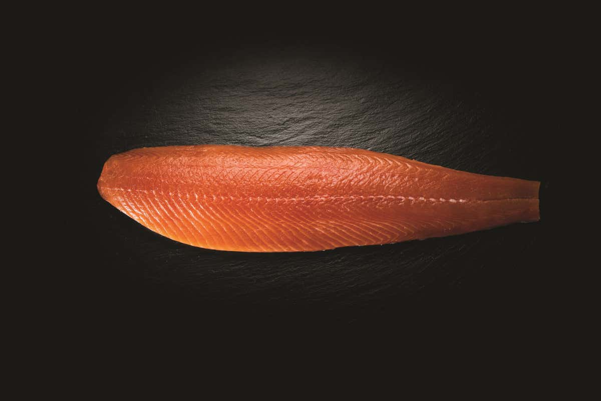 "La verità, vi prego, sul salmone": il libro che chiarisce miti e falsi allarmi
