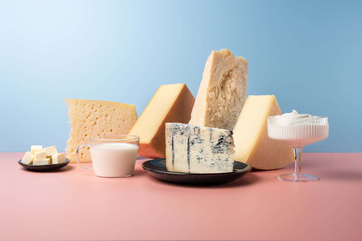 Esportazioni di latte e derivati italiani: +15,7% nel primo semestre 2025 Esportazioni di latte e derivati italiani: +15,7% nel primo semestre 2025