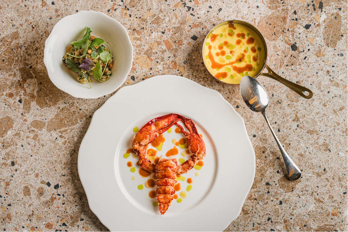 Apre Tribuna Campitelli, cucina mediterranea nel cuore più autentico di Roma Apre Tribuna Campitelli, cucina mediterranea nel cuore più autentico di Roma