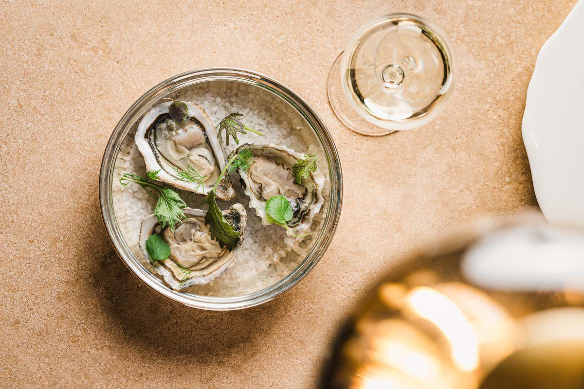 Apre Tribuna Campitelli, cucina mediterranea nel cuore più autentico di Roma Apre Tribuna Campitelli, cucina mediterranea nel cuore più autentico di Roma