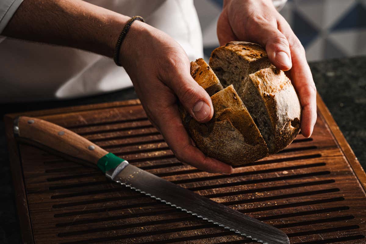 Apre Tribuna Campitelli, cucina mediterranea nel cuore più autentico di Roma Apre Tribuna Campitelli, cucina mediterranea nel cuore più autentico di Roma