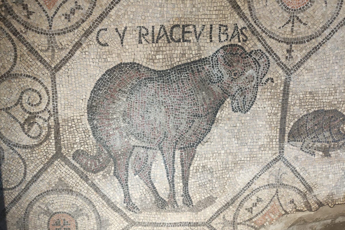 I mosaici della Basilica di Santa Maria Assunta Da Aquileia a Grado una vacanza per famiglie in Friuli