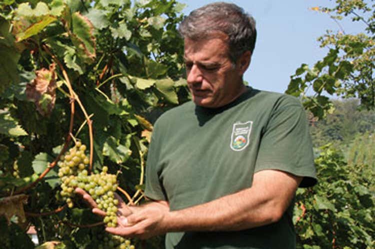 Stefano Locatelli (Un Sole per il Moscato di ScanzoE festa a Shanghai con Bombana)