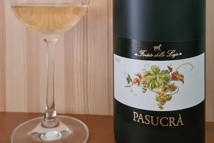&pound;$Ripartiamo dal vino$&pound; &ldquo;Pasucr&agrave;&rdquo; 2020 Forteto della Luja