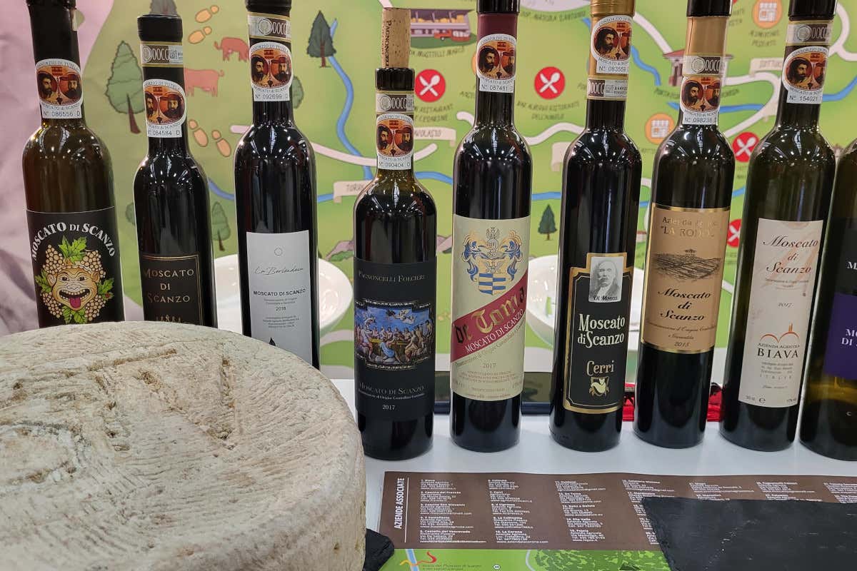 Moscato di Scanzo Docg e Strachitunt Dop  Moscato di Scanzo e Strachítunt, matrimonio del gusto tra eccellenze bergamasche