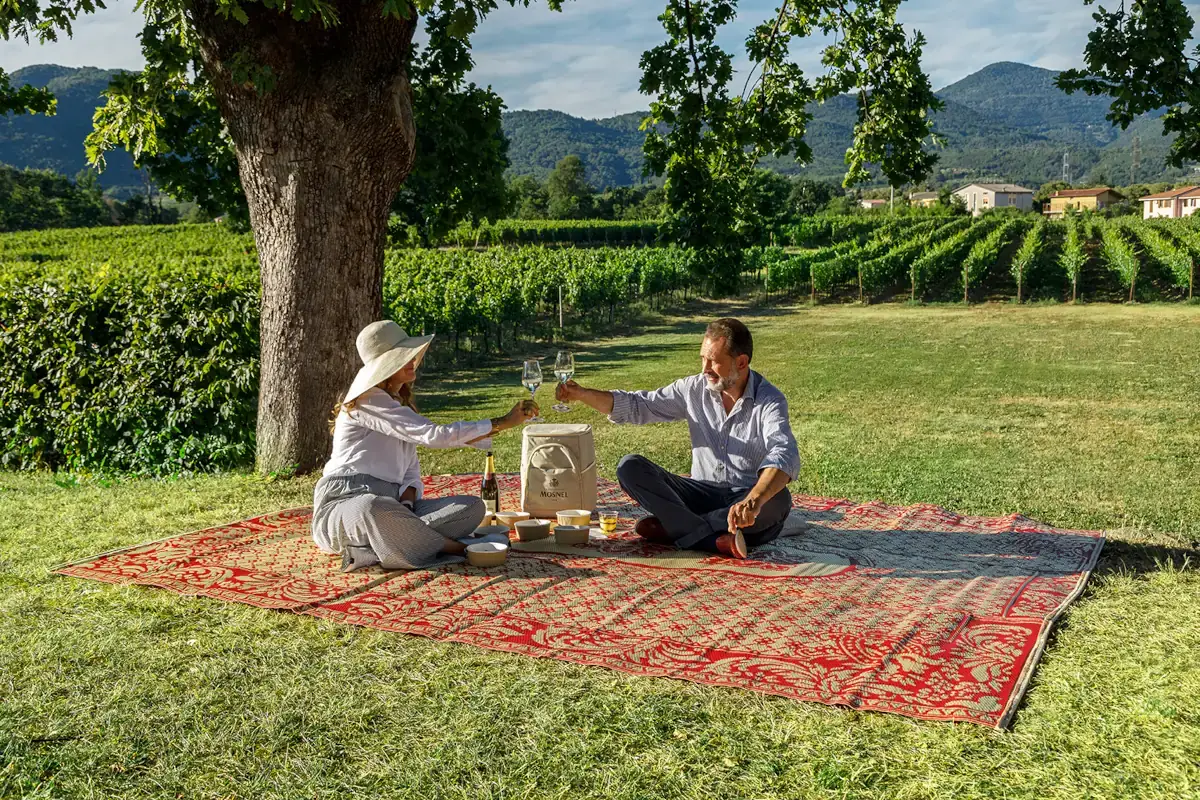 Mosnel, tornano gli eventi all'aperto. Da non perdere il pic-nic in vigna