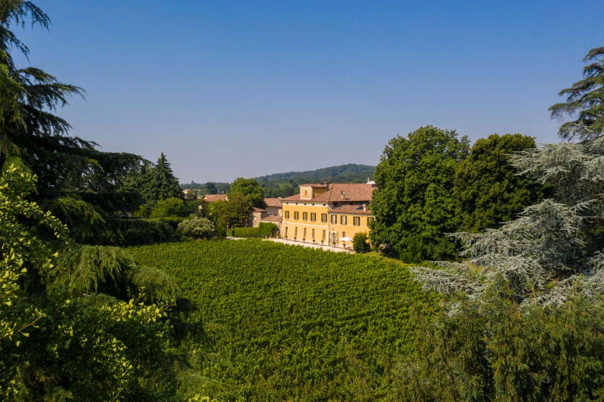 Mosnel, tornano gli eventi all'aperto. Da non perdere il pic-nic in vigna Mosnel, tornano gli eventi all'aperto. Da non perdere il pic-nic in vigna