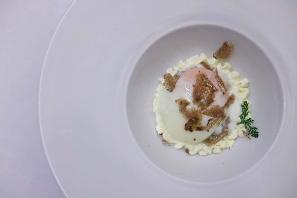 Sant’Angelo in Vado celebra il Tartufo Bianco con sette giornate di eventi