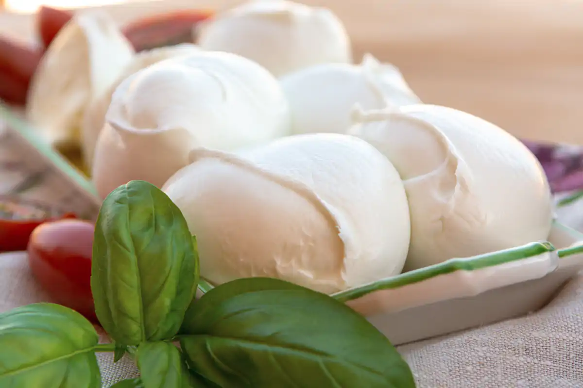 La mozzarella di bufala Mozzarella Campana e Deliveroo, un binomio tra passato e futuro