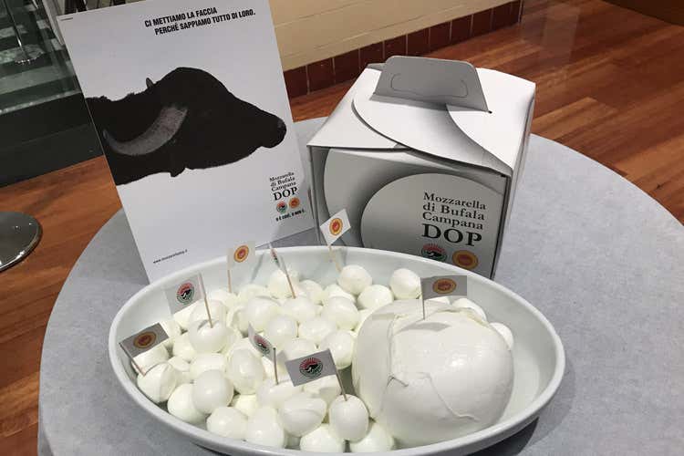 Il settore dà lavoro in Italia ad oltre 11mila addetti (Mozzarella di Bufala Campana Dop Un fatturato da 577 milioni di euro)
