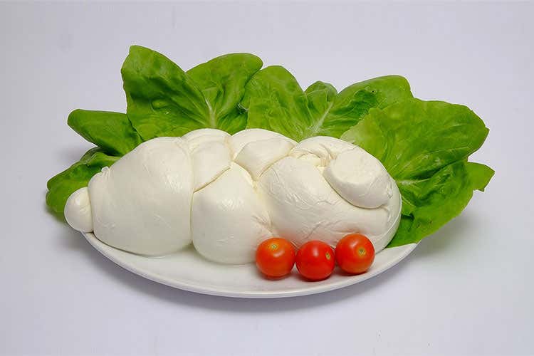 Mozzarella di Gioia del colle è Dop: sono 311 le denominazioni italiane Mozzarella di Gioia del colle è Dop: sono 311 le denominazioni italiane