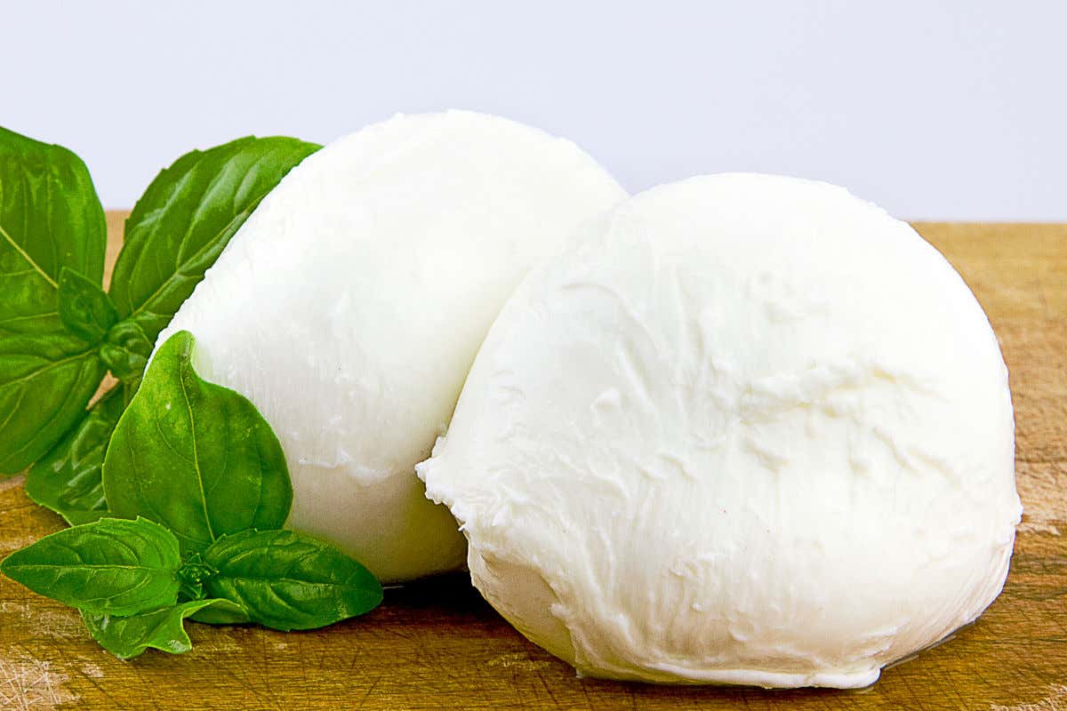 A Salerno 52enne morta soffocata da un boccone di mozzarella