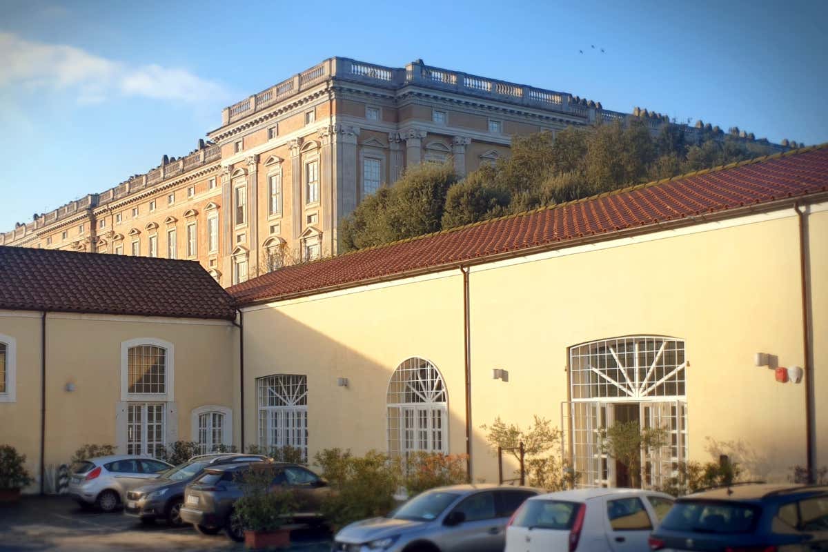 Tornano gli incontri d'autore a Caserta: libri e seminari sulla Mozzarella Dop Tornano gli incontri d'autore a Caserta: libri e seminari sulla Mozzarella Dop