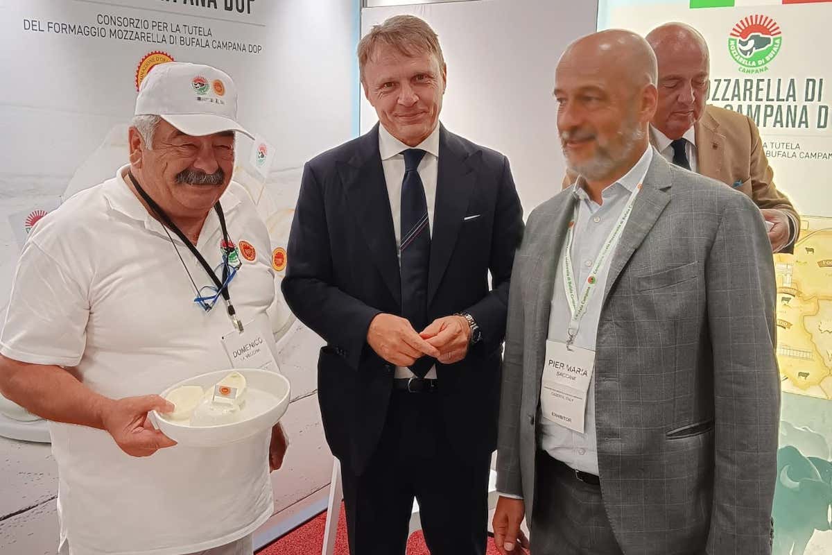 A New York la Mozzarella di Bufala Campana Dop si racconta dal vivo