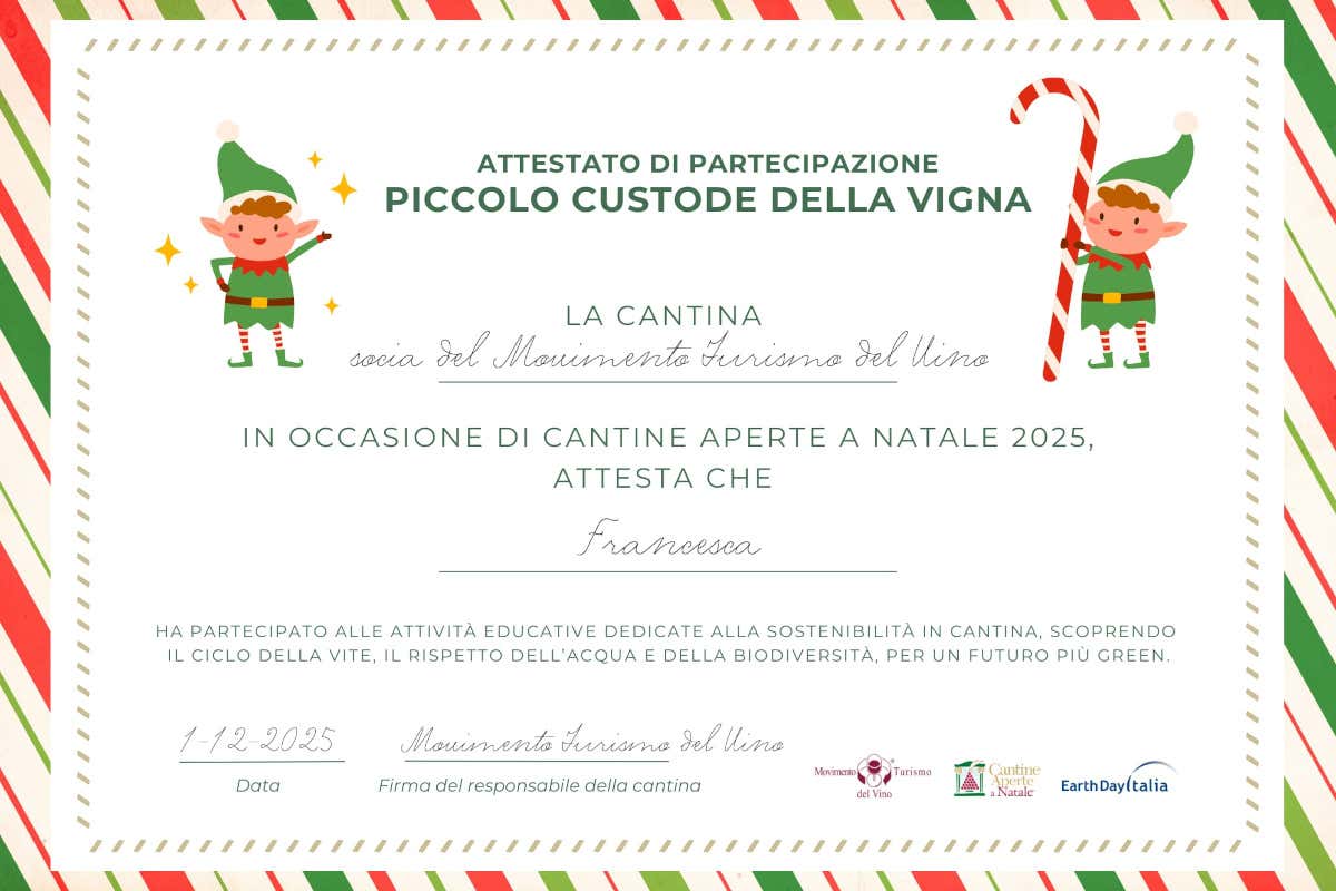 A Natale Cantine Aperte per un dicembre tra gusto e responsabilità A Natale Cantine Aperte per un dicembre tra gusto e responsabilità