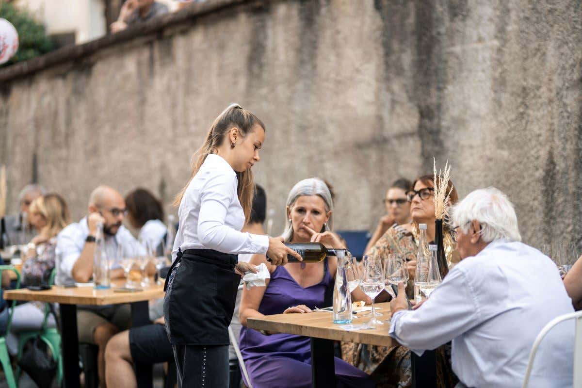 Müller Thurgau: vino di montagna celebra la Val di Cembra e i suoi vigneti