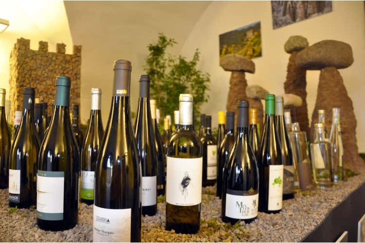 Müller Thurgau, boom di iscrizioni al concorso internazionale