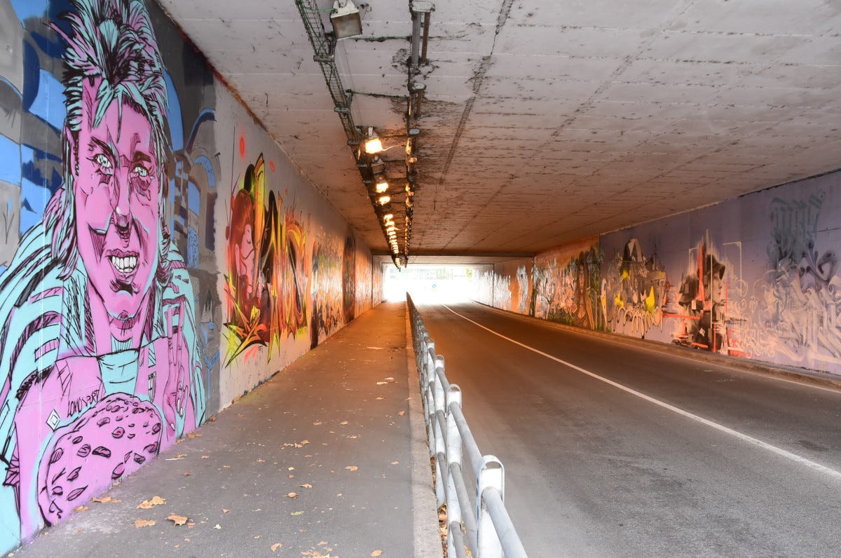 Tra graffiti e wall paintings: i muri di Parma si colorano con i murales