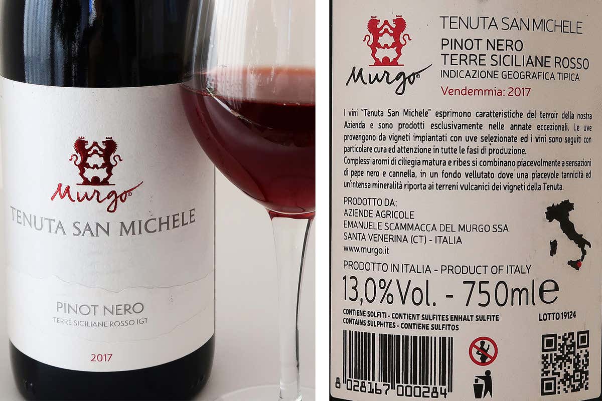 Pinot Noir Il Pinot Noir di Murgo, la Borgogna sull’Etna Pinot Noir Il Pinot Noir di Murgo, la Borgogna sull’Etna