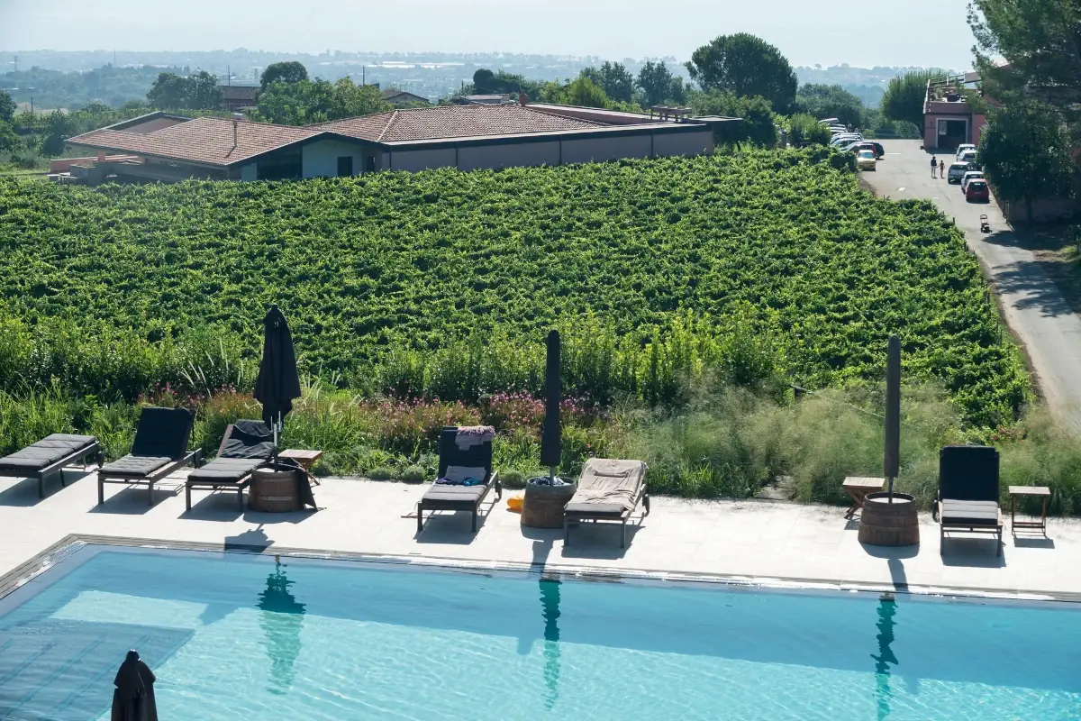 Murgo, l&rsquo;azienda familiare del Barone Scammacca del Murgo Sull'Etna a caccia di vini d'autore