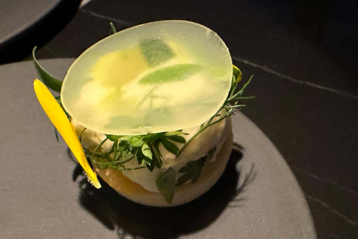 Musa Lago di Como, quando ospitalità di lusso e alta cucina si accompagnano