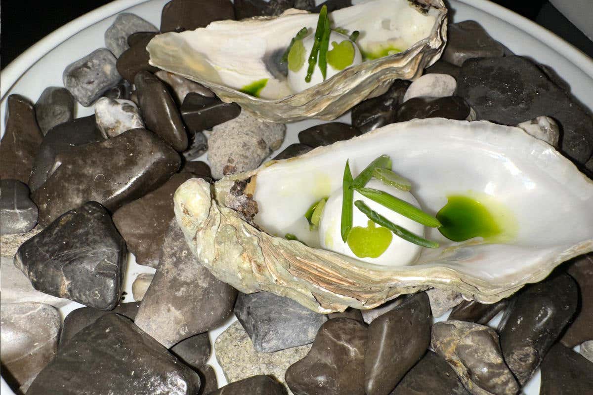 Musa Lago di Como, quando ospitalità di lusso e alta cucina si accompagnano