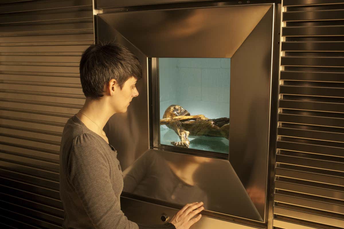 La cella frigorifera della Mummia del Similaun (foto Ochsenreiter) La mummia del Similaun,