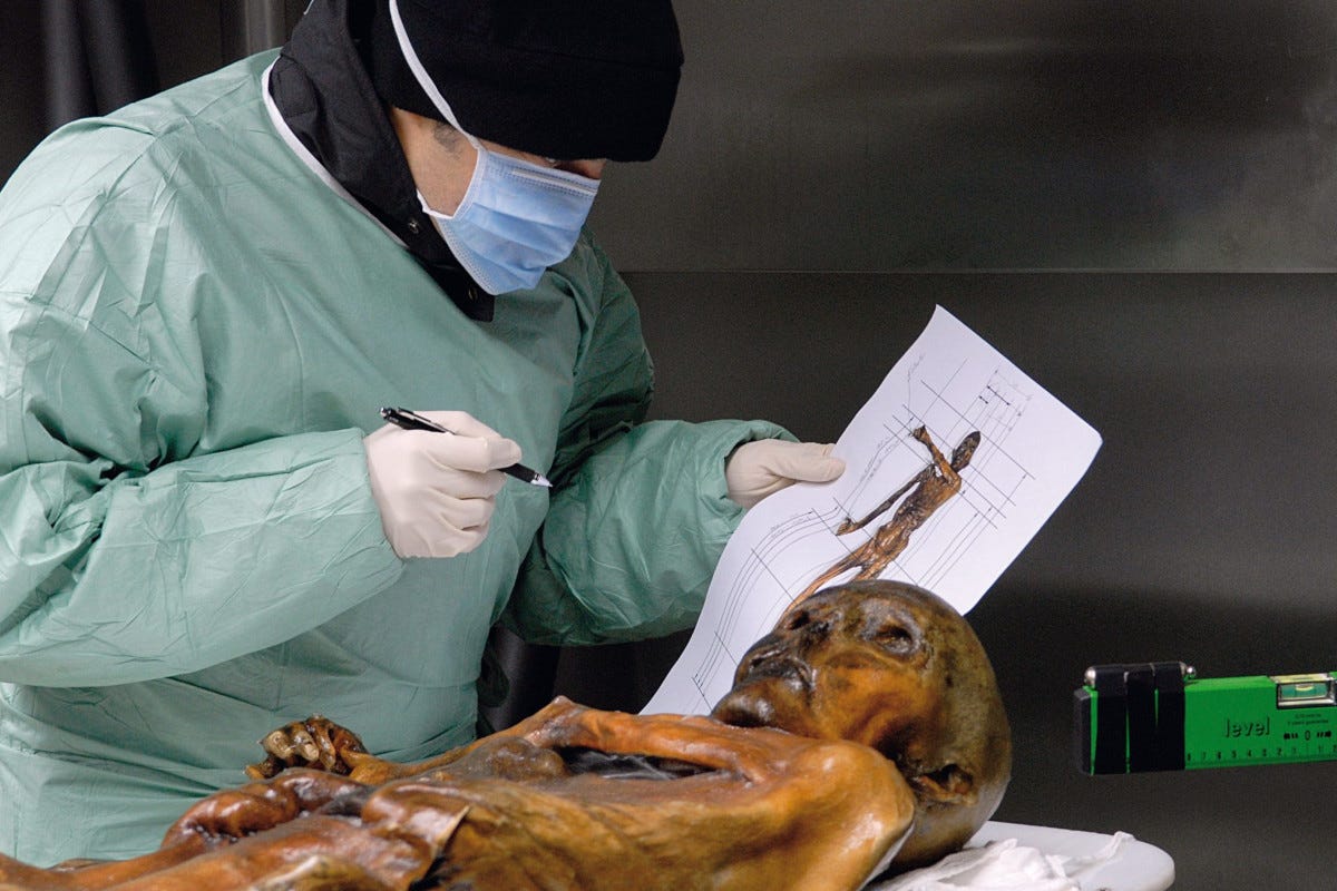 Lo studio della Mummia del Similaun (foto EURAC-Samadelli-Staschitz) La mummia del Similaun,