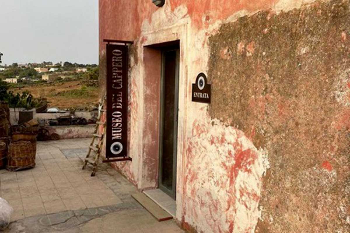L'entrata del Museo del Cappero di Pantelleria A Pantelleria apre un museo del ... cappero!