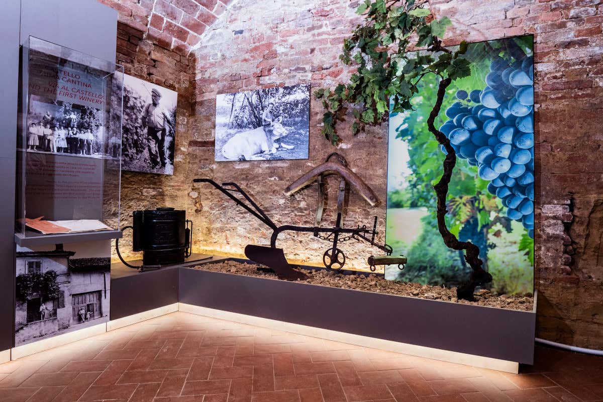 A Castagnole Monferrato apre il Museo del Ruchè tra storia e degustazioni