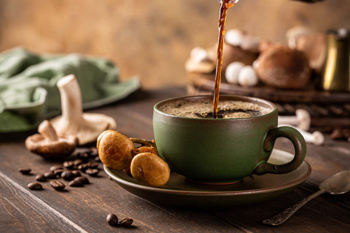 Dal caffè coi funghi alla chlorella: i superfood che saranno trendy nel 2024 Dal caffè coi funghi alla chlorella: i superfood che saranno trendy nel 2024