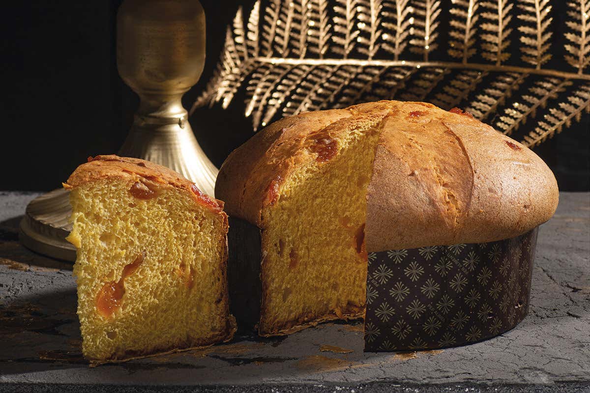 Panettone albicocca incartato Animalier 