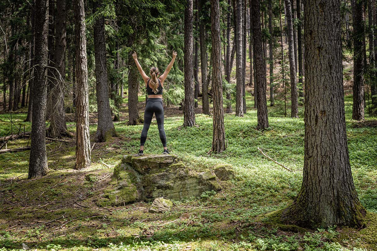 Passeggiare e fare attività nella foresta ai piedi del My Arbor