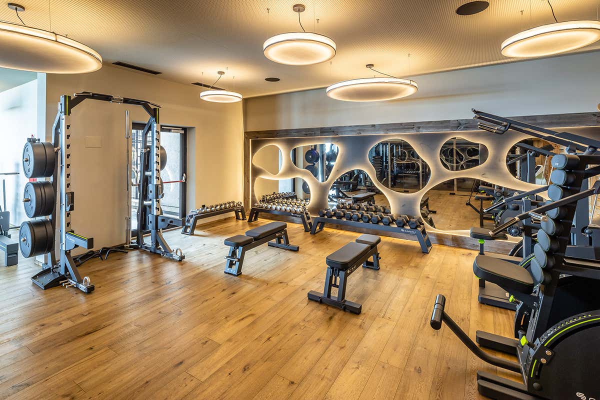 La palestra, My Arbor