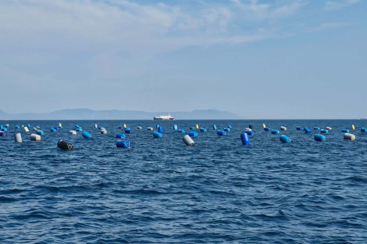 Il mare di Bacoli dove si potranno vivere esperienze di mitilicoltura