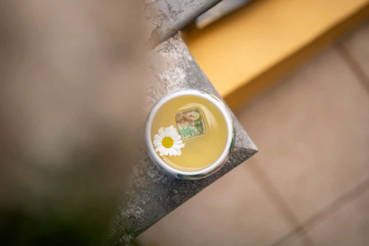 Dove dormire in una ex residenza reale affacciata sul lago di Garda