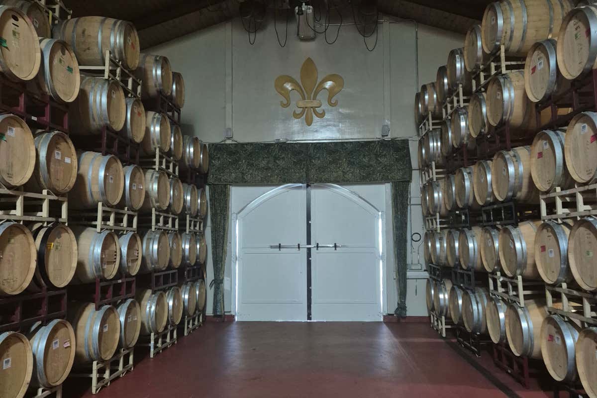 Viaggio in Napa Valley e Sonoma County: le cantine da non perdere Viaggio in Napa Valley e Sonoma County: le cantine da non perdere