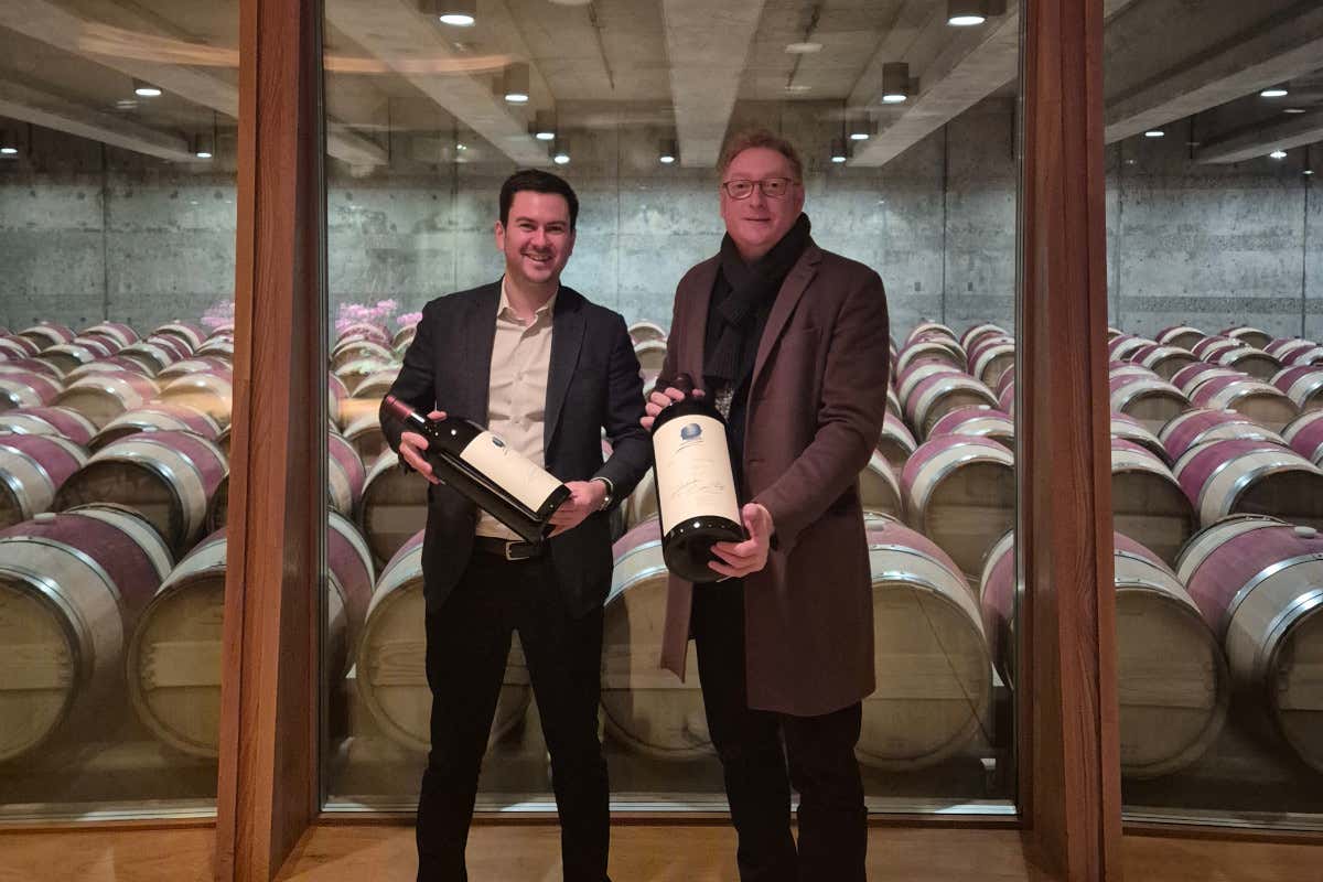 Viaggio in Napa Valley e Sonoma County: le cantine da non perdere Viaggio in Napa Valley e Sonoma County: le cantine da non perdere