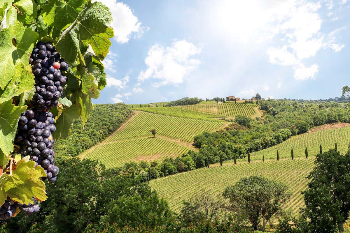 Dormire in Napa Valley: due hotel dove il soggiorno diventa esperienza