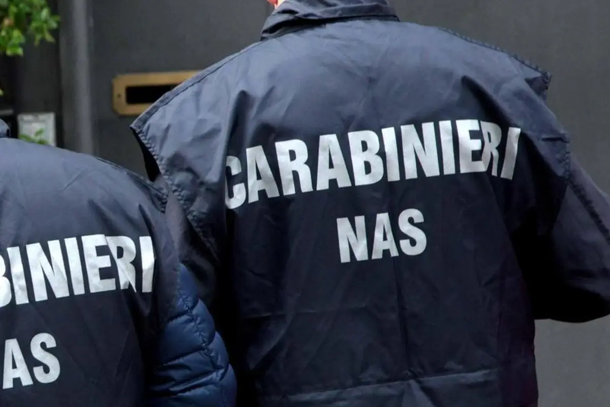 Ad oggi sono state 37 le sanzioni contestate Green pass e controlli: tre quarti delle sanzioni nei ristoranti