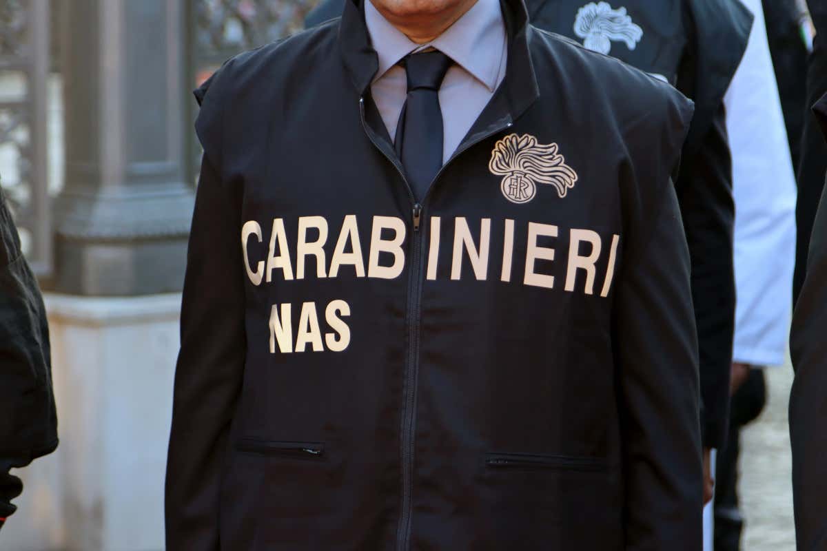 Allarme per l’epatite A: Napoli vieta i frutti di mare crudi in bar e ristoranti