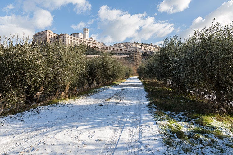 Tanti eventi per il Natale di Assisi (Natale ad Assisi Pace, persone e ambiente al centro)