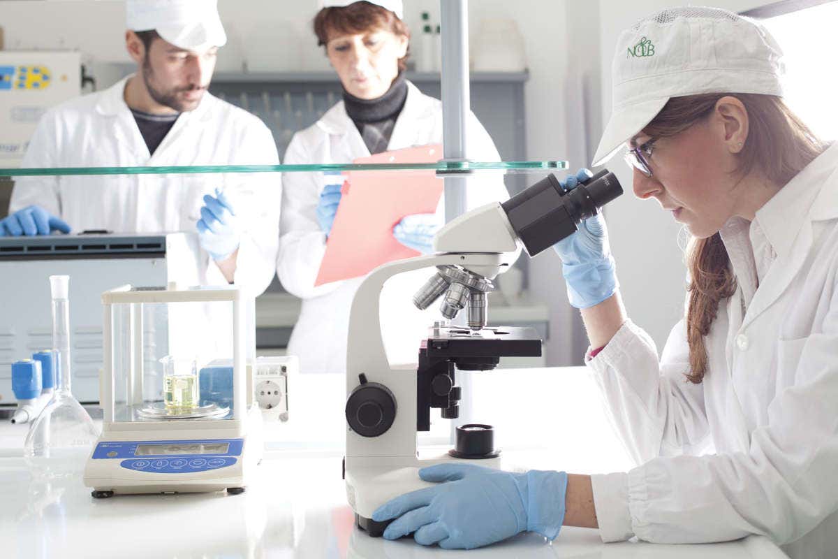 Dalla terra alla bellezza: l'innovazione dei cosmetici sostenibili negli hotel