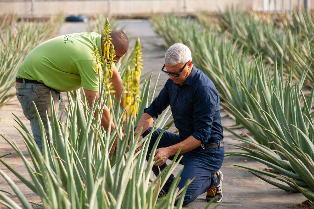 Dalla terra alla bellezza: l'innovazione dei cosmetici sostenibili negli hotel